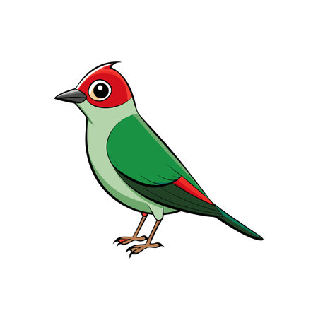 Cartoon illustration of colorful bird isolated on white backgroundのイラスト素材