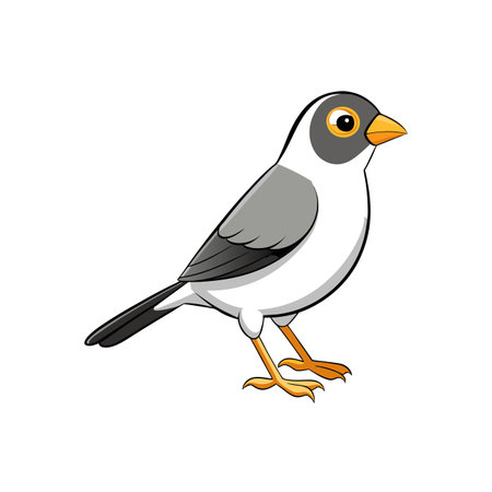 Cartoon bird illustration with distinct colors and clean linesのイラスト素材