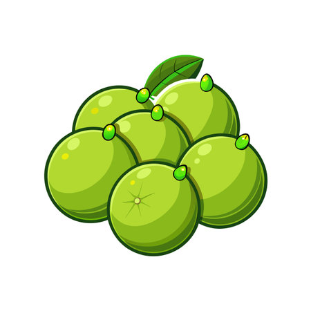 Illustration of stacked green citrus fruits with glossy accentsのイラスト素材