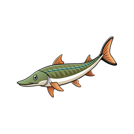 Cartoon pike fish illustration with bold outlines and colorsのイラスト素材