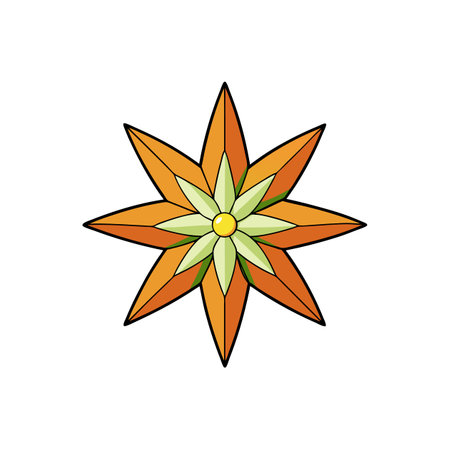 Decorative eight-pointed star graphic with floral center on whiteのイラスト素材