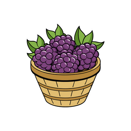 Basket of Blackberries with Green Leaves Isolated Illustrationのイラスト素材