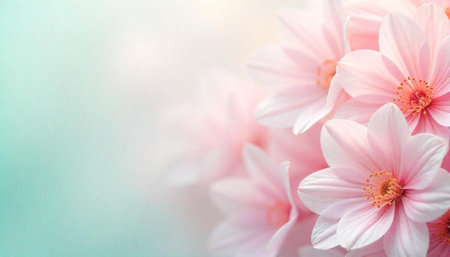 Dreamy pink flowers in soft focus, pastel backgroundの写真素材