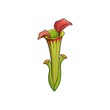 Whimsical cartoon style pitcher plant isolated on white backgroundのイラスト素材