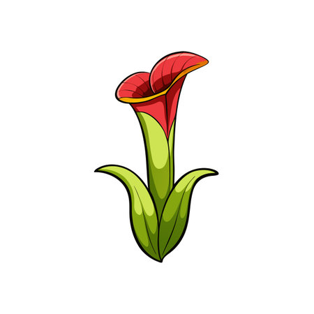 Stylized Calla Lily Illustration with Vibrant Red and Greenのイラスト素材