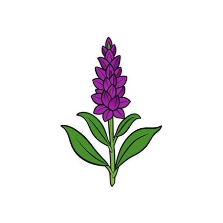 Purple flower illustration on white background for stock imageのイラスト素材