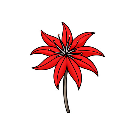 Vibrant red flower with black outline on white backgroundのイラスト素材