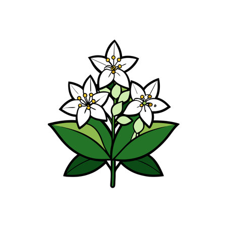 Stylized illustration of white flowers with green leavesのイラスト素材