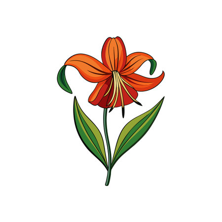 Orange lily flower illustration with green leaves and stemのイラスト素材
