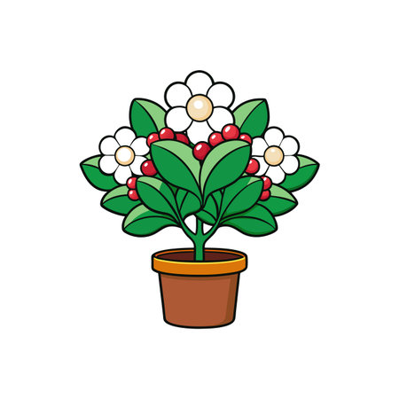 Potted plant with white flowers and red berries illustrationのイラスト素材