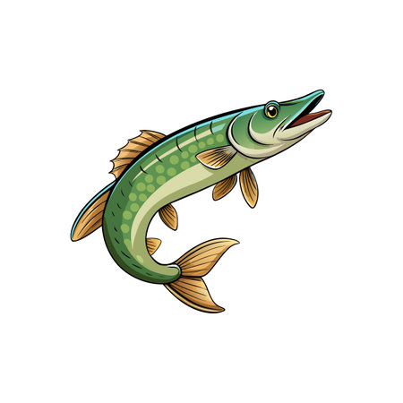 Illustration of a Northern Pike with upward swimming motionのイラスト素材