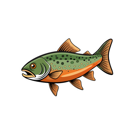 Isolated Brook Trout Illustration with Distinct Spots and Finsのイラスト素材