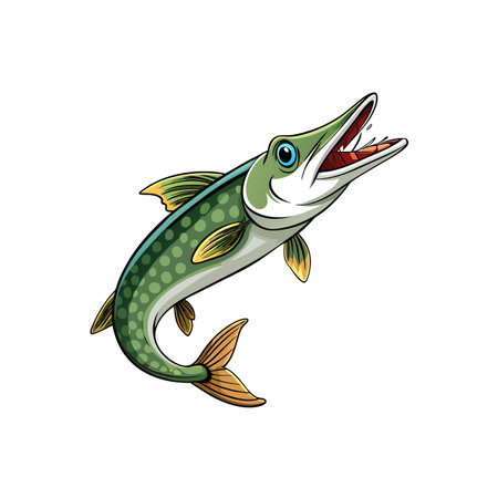 Illustrated Northern Pike cartoon fish swimming upwards with open mouthのイラスト素材
