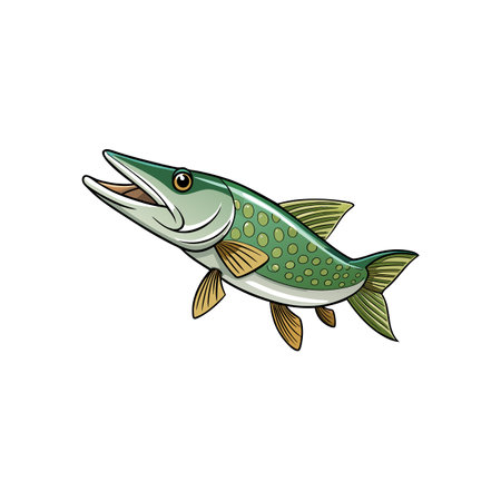 Illustrated northern pike fish with open mouth on whiteのイラスト素材