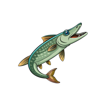Stylized Northern Pike illustration on a pure white backdropのイラスト素材