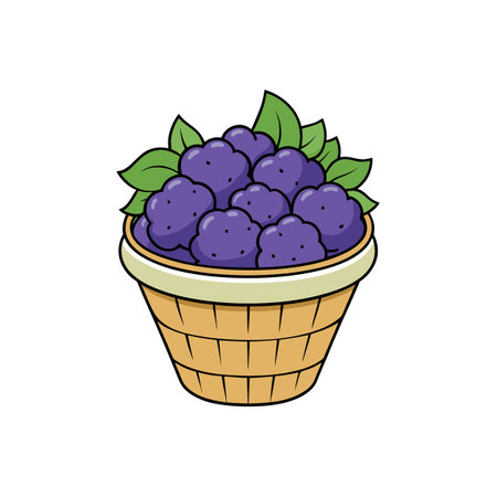 Basket of blueberries with green leaves illustration in vectorのイラスト素材
