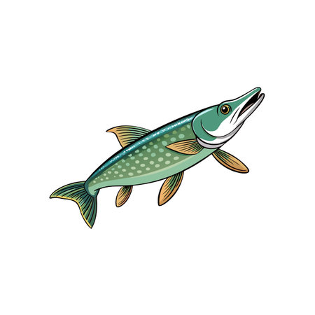 Cartoon style Northern Pike fish illustration on white backgroundのイラスト素材