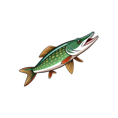 Cartoon style pike fish illustration leaping upwards on whiteのイラスト素材