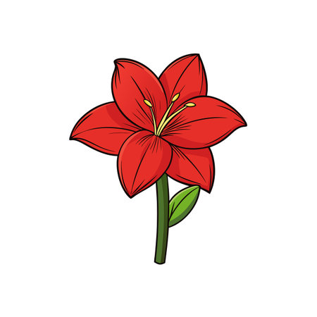 Vibrant Red Amaryllis Flower Illustration with Green Stemのイラスト素材