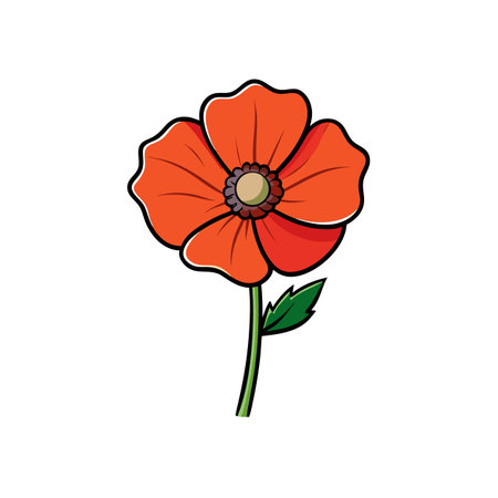 Single orange poppy flower illustration on white backgroundのイラスト素材