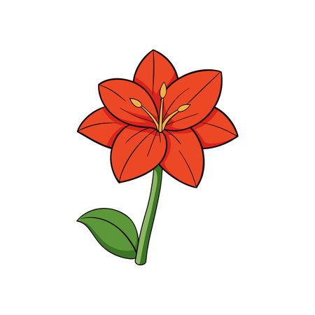 Cartoon style orange amaryllis flower illustration on white backgroundのイラスト素材