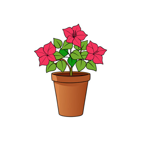 Vibrant Bougainvillea plant in a clay pot illustrationのイラスト素材