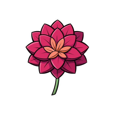 Stylized magenta and peach dahlia flower isolated on whiteのイラスト素材