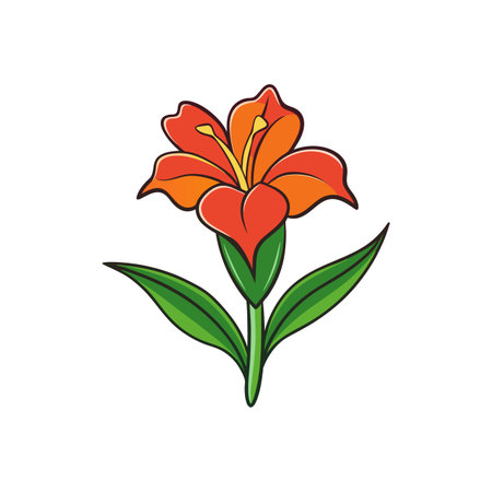 Stylized orange lily flower with green leaves illustrationのイラスト素材