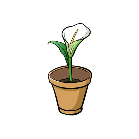 Cartoon calla lily in a pot against white backgroundのイラスト素材