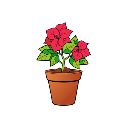 Cartoon Poinsettia Plant in Pot Illustration on White Backgroundのイラスト素材