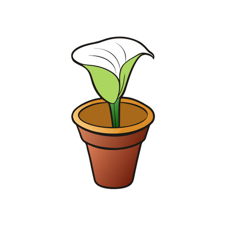 A white calla lily in brown terracotta pot illustrationのイラスト素材