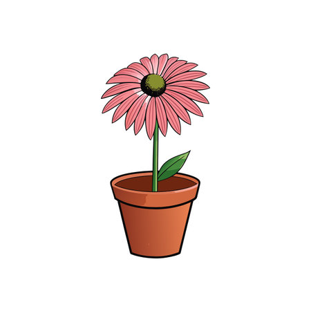 Pink coneflower in a pot, illustration style imageのイラスト素材