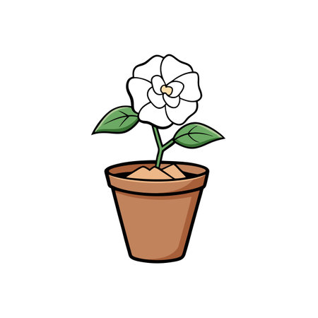 White flower in pot simple illustration for various designのイラスト素材