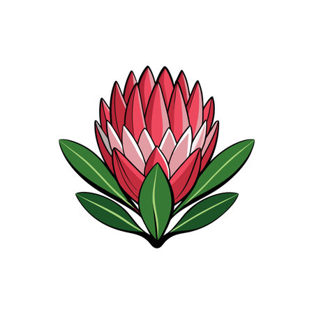 Isolated graphic of a pink King Protea flower headのイラスト素材