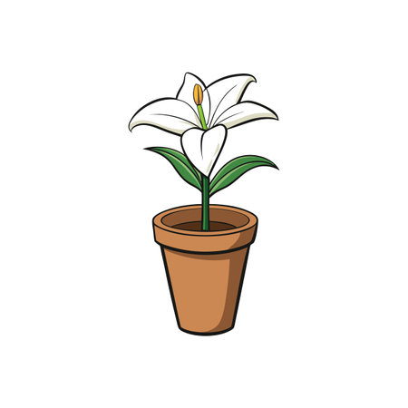 Cartoon style illustration of a potted white lily flowerのイラスト素材