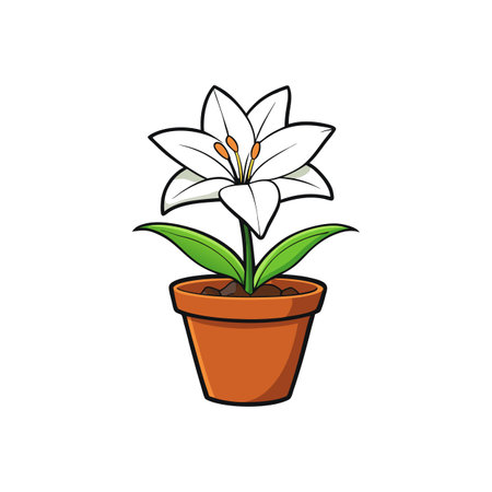 Cartoon white lily flower in a terracotta pot illustrationのイラスト素材