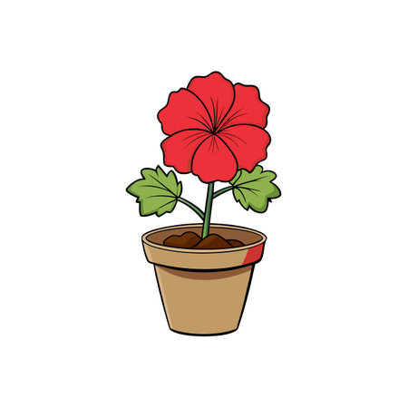 Red geranium flower in a pot simple cartoon illustrationのイラスト素材