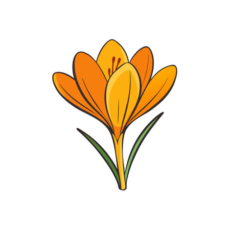 Bright orange crocus flower in cartoon style illustrationのイラスト素材