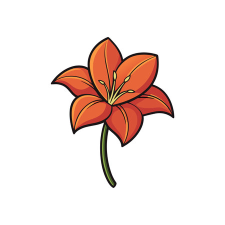 Vibrant orange lily blossom on a stem isolated illustrationのイラスト素材