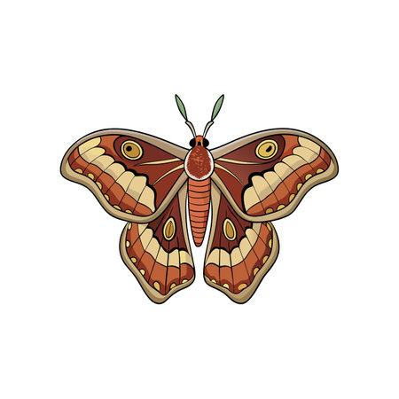 Brown moth illustration with yellow spots isolated on whiteのイラスト素材