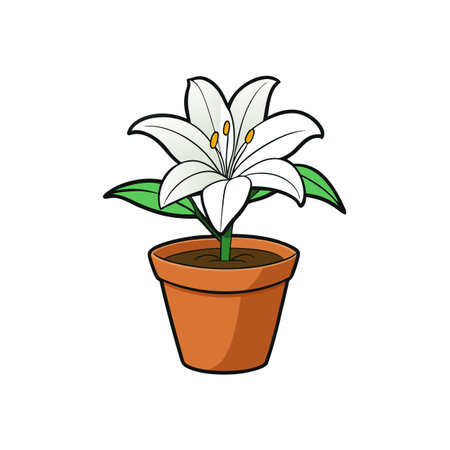 Cartoon drawing of a white lily in terracotta potのイラスト素材