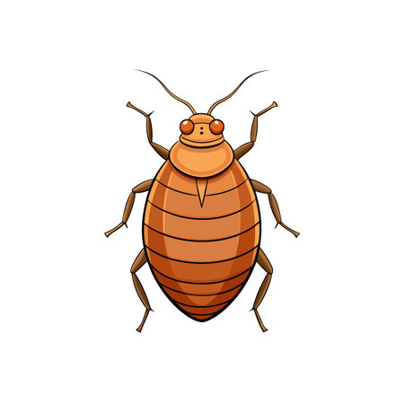 Cartoon style bedbug illustration against white background design.のイラスト素材