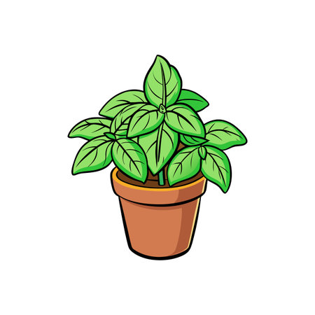 Potted basil plant illustration with vibrant green leavesのイラスト素材