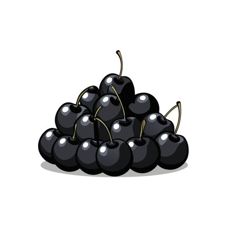 Stylized heap of dark cherries, digital illustration, isolated imageのイラスト素材