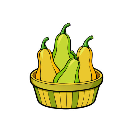 Yellow and green squash in bowl with outline vectorのイラスト素材