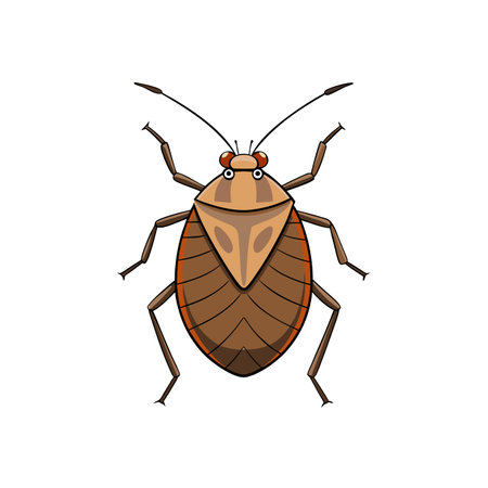Cartoon shield bug on a white background image