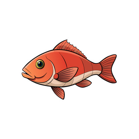 Cartoon-style red fish illustration swimming against a white backgroundのイラスト素材