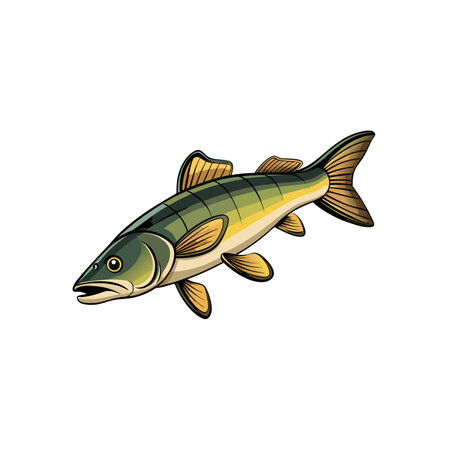 Cartoon illustration of a colorful trout fish swimming on whiteのイラスト素材
