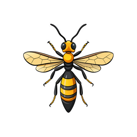 Cartoon wasp vector illustration isolated on a white backgroundのイラスト素材
