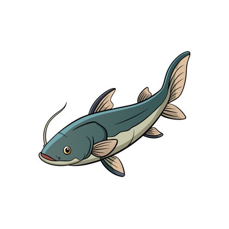Cartoon catfish illustration on white background for education, designのイラスト素材